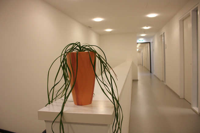 erl_office