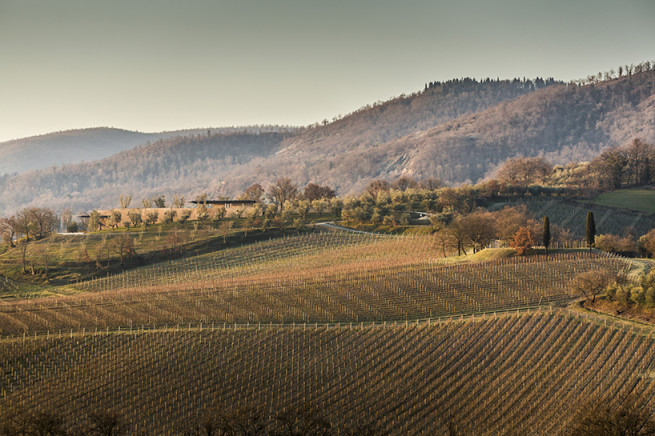 AKP_bulgariwinery_19