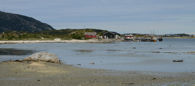 DSC_4182