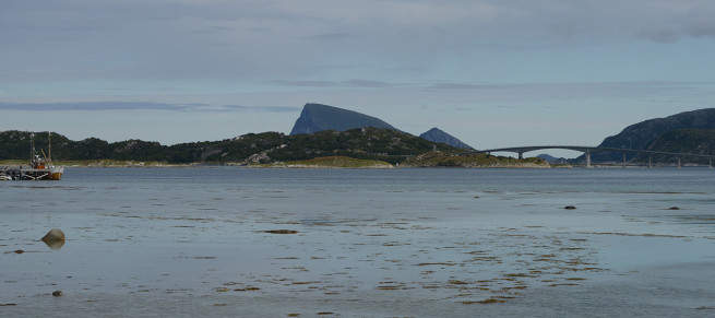 DSC_4184