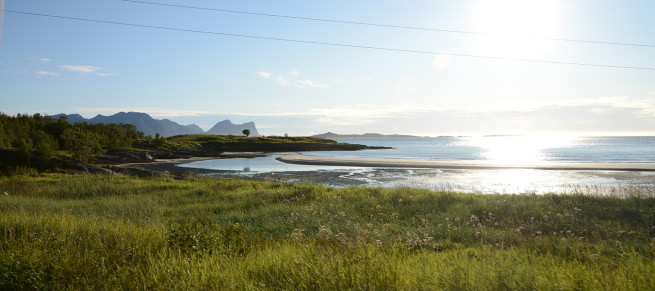 DSC_4569